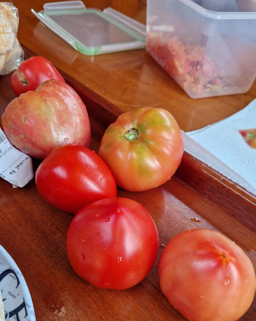 Leckere, sonnengereifte Tomaten