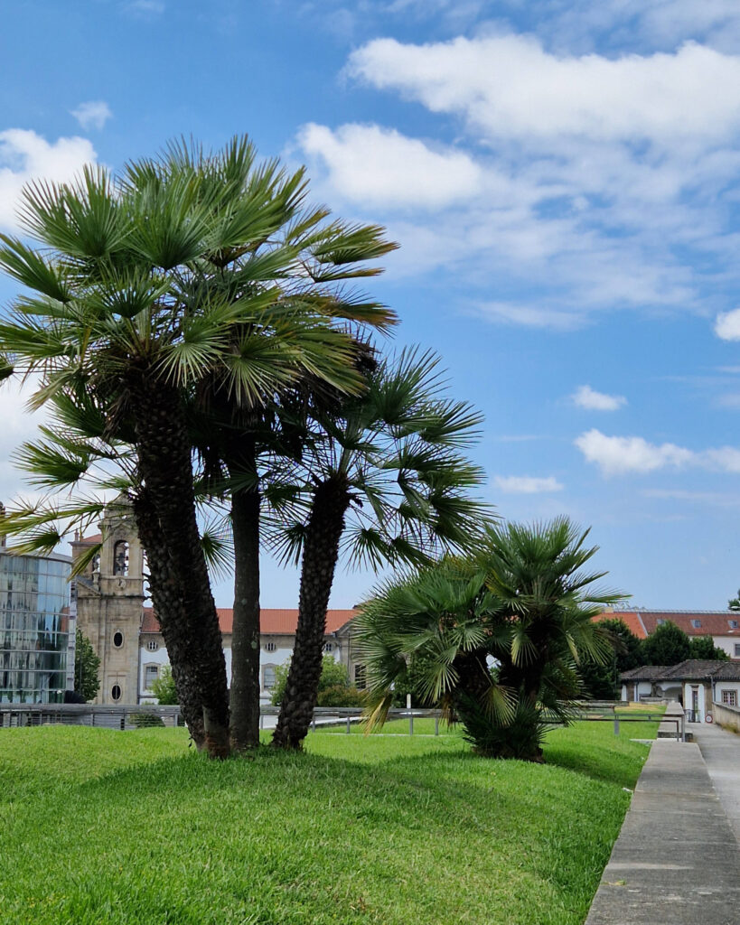 Parkanlage in der Stadtmitte von  Braga