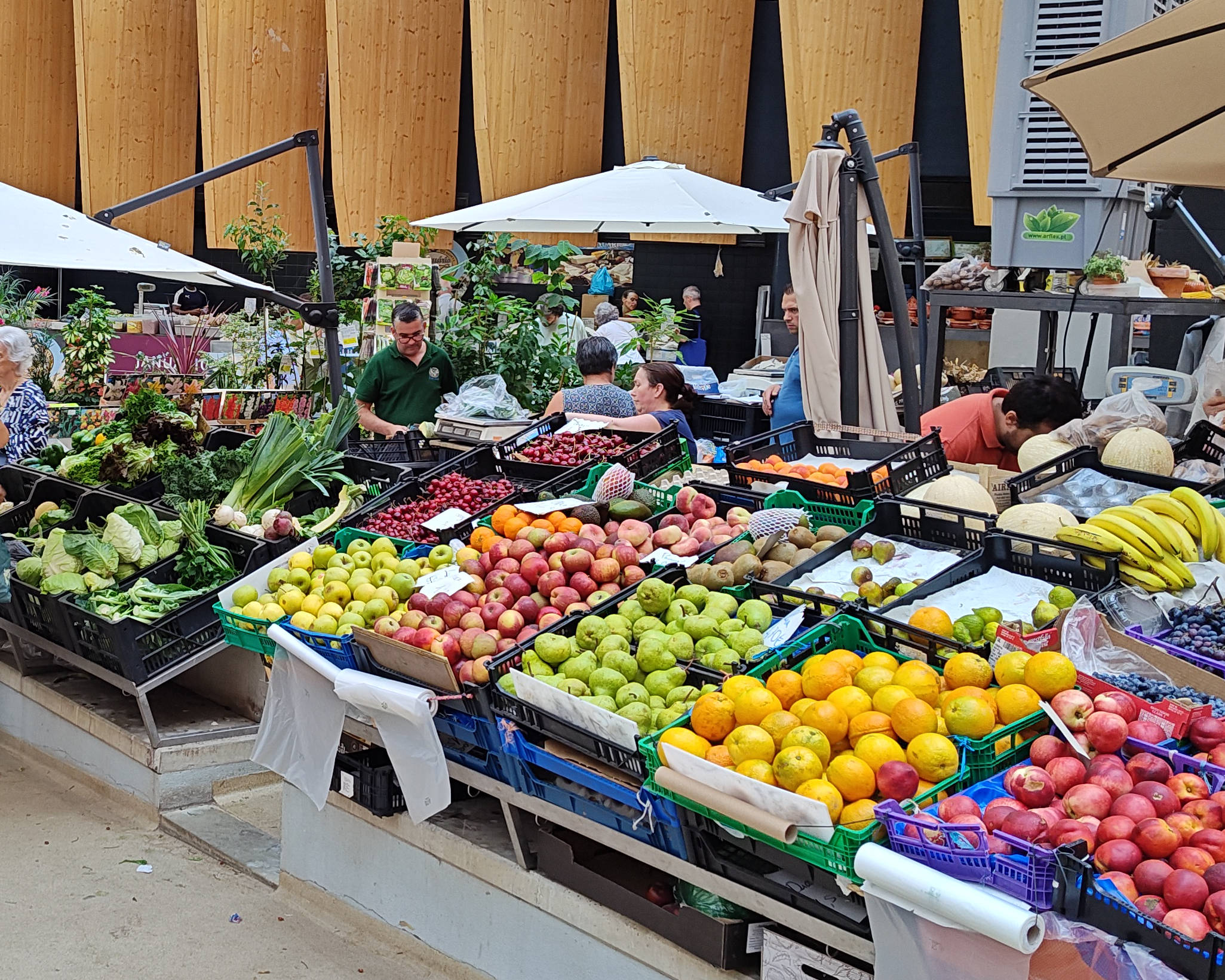 Bunte Obststände in der Martkhalle von Braga